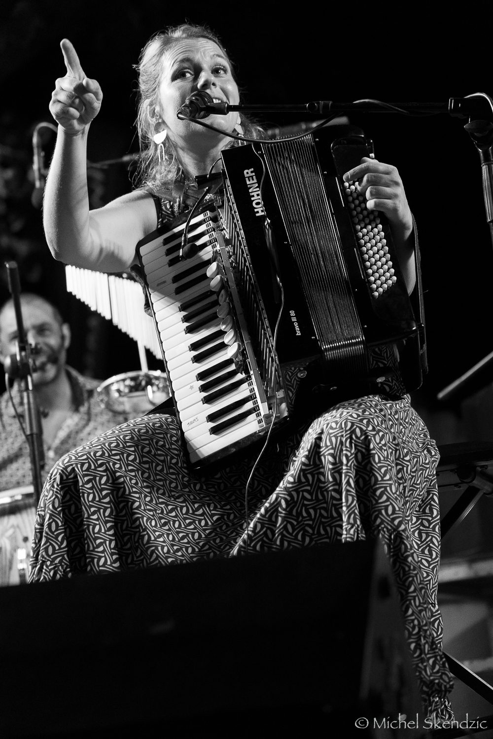 L'accordéoniste