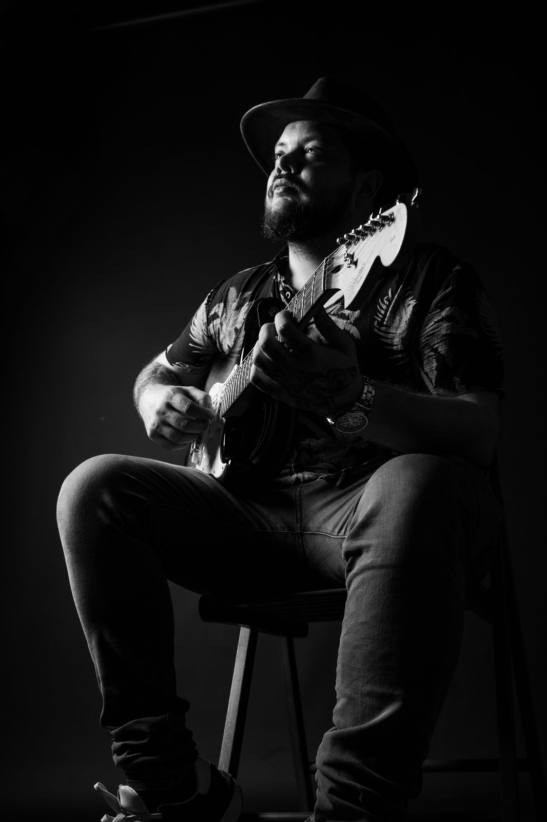 Le guitariste