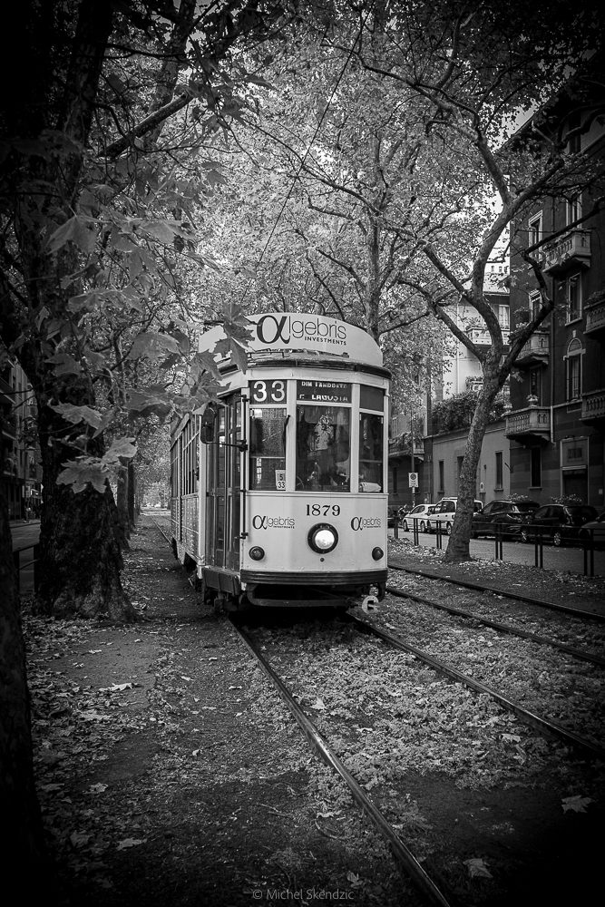 Tramway sous les feuilles